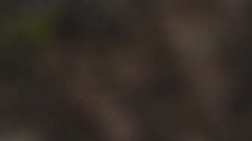 La miniserie de Brasil fue protagonizada por Cauã Reymond e Isis Valverde