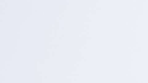 Antonio Banderas celebró a hispanoamérica en el Oscar.