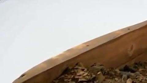 La momia mostraba indicios de que alguien la hubiese profanado.