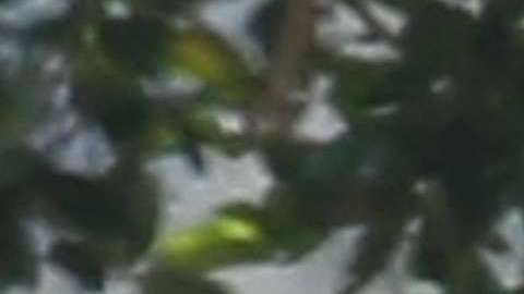 Justin y Selena se encuentran disfrutando del segundo capítulo de su romance.