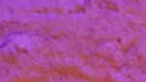 La cantante Camila Cabello lanzó su nuevo video musical para "Never Be The Same"