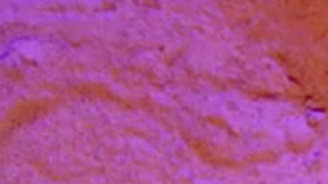 La cantante Camila Cabello lanzó su nuevo video musical para "Never Be The Same"