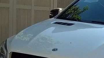 La camioneta de Alan Pulido tras el incidente.