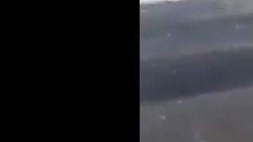 El cangrejo opuso resistencia.