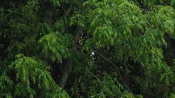 Solicitamos discreción.