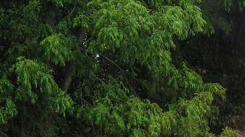 Solicitamos discreción.