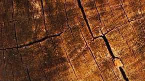 Las posibilidades de esta bebida siguen sorprendiéndonos.