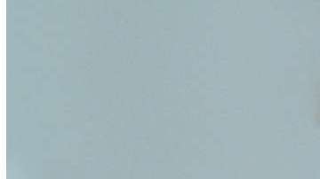 El "copete" de la polilla se asemeja a la melena de Trump.