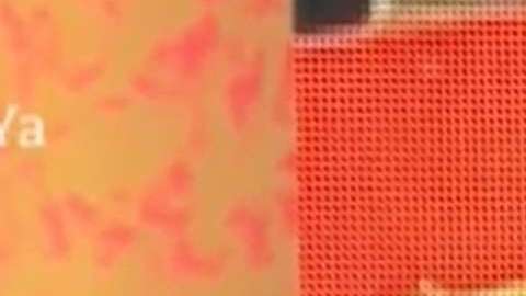 Fans de Atala Sarmiento culpan a Cynthia Urias de ser la responsable por su salida de "Ventaneando"