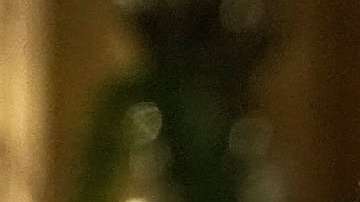 El presidente Trump confía en que haya un diálogo con Corea del Norte.