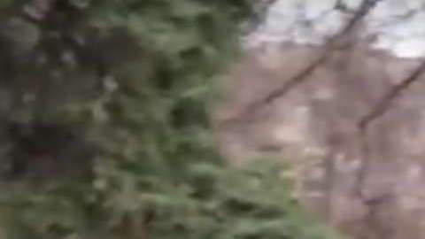 El día que Dora volvió de su rehabilitación.