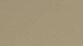 Abogados "pro bono" ayudan a inmigrantes a llenar el formulario N-400.