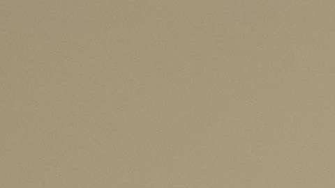 Abogados "pro bono" ayudan a inmigrantes a llenar el formulario N-400.