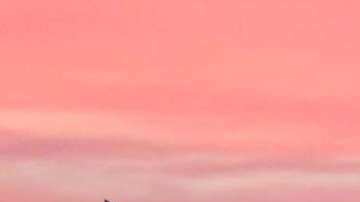 El vuelo llegó a Nueva York con seis horas de retraso