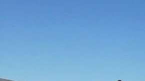 Montiel fue reportera de Telemundo tras egresar Magna cum laude de East Tennessee State University