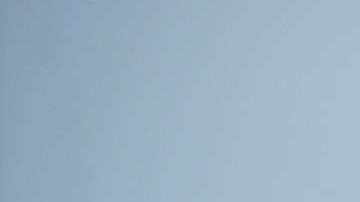 Tampa es de los sitios más inseguros para el tránsito de indocumentados.