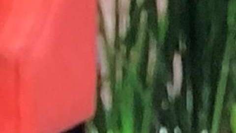 Galilea Montijo comete error en la nueva etapa de "Hoy"