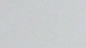 Shannon se dio una buena ayudadita.