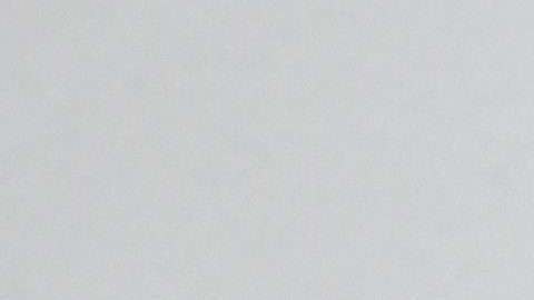 Shannon se dio una buena ayudadita.