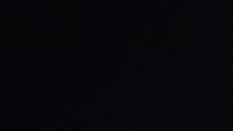 Arnold Schwarzenegger.