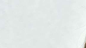 Cameron Diaz se jubiló para dedicarse a su matrimonio.