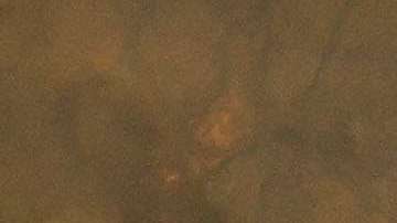 Harry Burkhart trató de evadir su responsabilidad diciendo que era enfermo mental