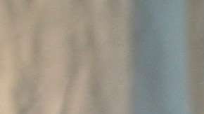 Cooper Hefner dio a conocer la decisión en su cuenta de Twitter.