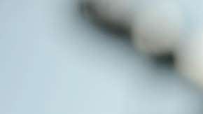 El presidente Trump goza del mejor momento de aceptación.