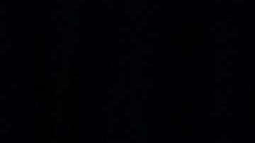 Donald Jr. y su esposa Vanessa acompañaron al presidente Trump el día de su elección.