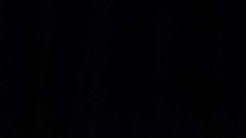 Donald Jr. y su esposa Vanessa acompañaron al presidente Trump el día de su elección.