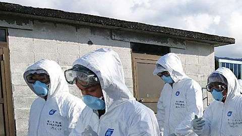 Se transmite a los humanos a través del contacto con la rata común africana.