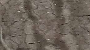 El joven fue capturado en El Paso.