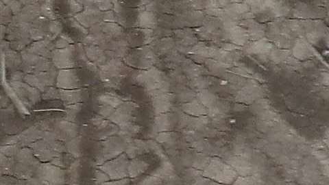 El joven fue capturado en El Paso.