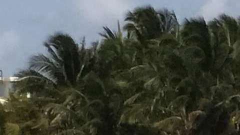 Playa del Carmen es uno de los tres destinos turísticos más importantes en México.