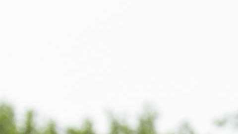 Esta semana se anunció sorpresivamente el divorcio del hijo del presidente Trump