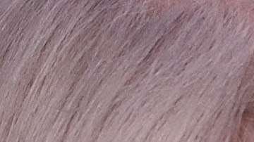 Conway es asesora de la Casa Blanca.