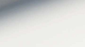 Melania Trump obtuvo la visa EB-1.