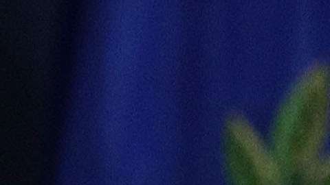 Jeff Sessions busca despedir a Andrew McCabe.