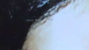 En los Estados Unidos, las autoridades tanto federales y locales mantienen una cruzada contra la MS-13.