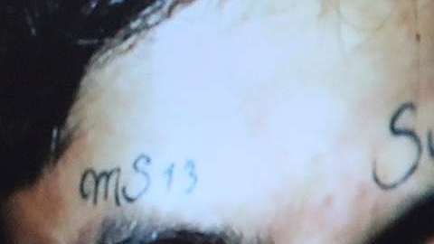 En los Estados Unidos, las autoridades tanto federales y locales mantienen una cruzada contra la MS-13.