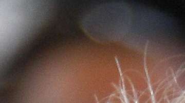 Madonna y Michael Jackson.