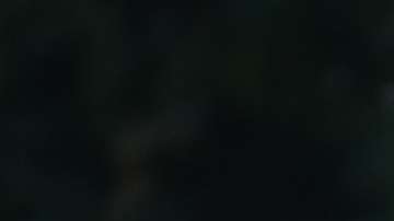 Es la primera vez que se revisarán las finanzas de empresas del presidente Trump.