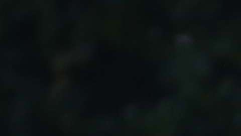 Es la primera vez que se revisarán las finanzas de empresas del presidente Trump.