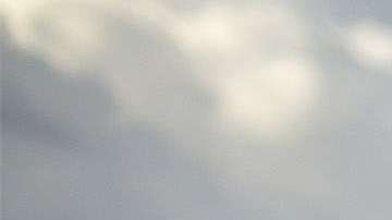 Trump dijo a la comunidad latina de que su partido no les ha dado la espalda.