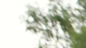 Los jóvenes DACA no son la prioridad.