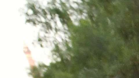 Los jóvenes DACA no son la prioridad.