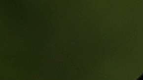 La pareja celebró el cumpleaños del menor de sus hijos.