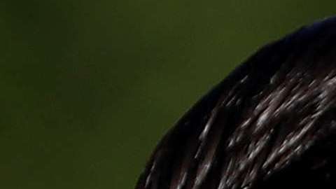 La pareja celebró el cumpleaños del menor de sus hijos.