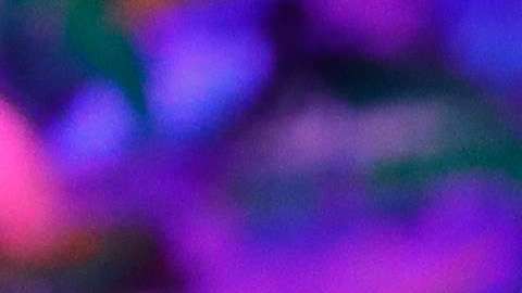 Ivanka Trump goza de gran popularidad en Instagram.