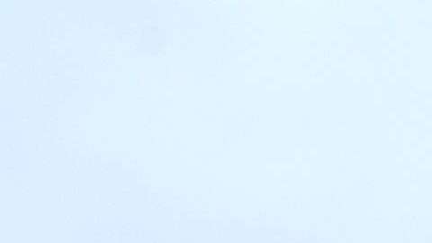 Marco Antonio De la Garza Jr ingresó a la Patrulla Fronteriza diciendo que había nacido en Texas